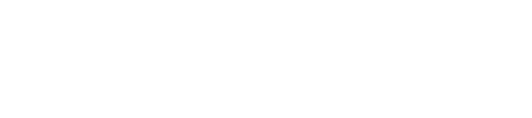 HRIS Consultants Logo